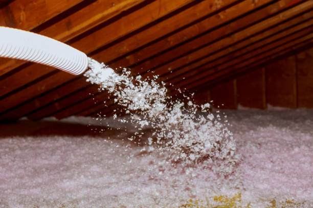 Best Residential Insulation in Campti, LA