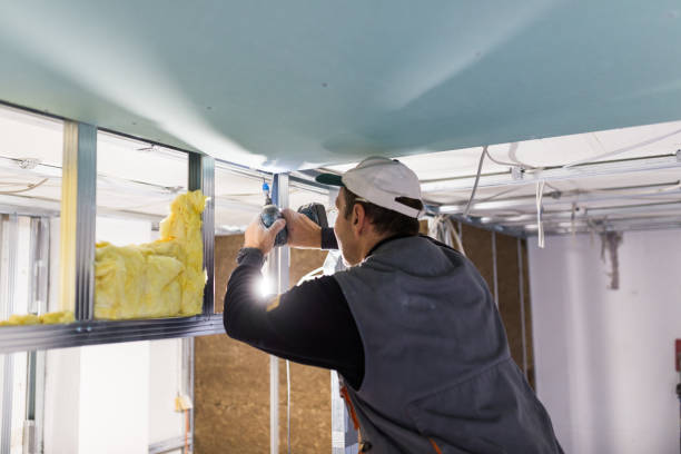 Best Spray Foam Insulation in Campti, LA