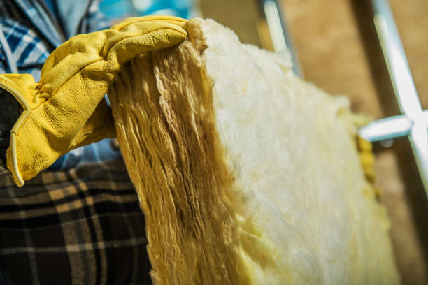 Best Specialized Insulation Services in Campti, LA