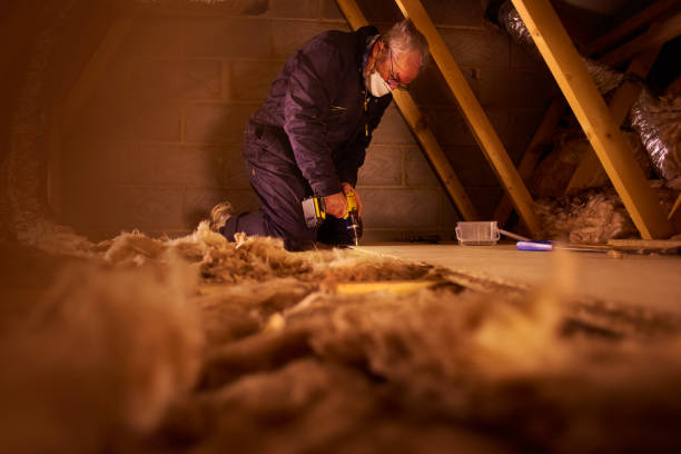 Best DIY Insulation Kits and Guidance in Campti, LA